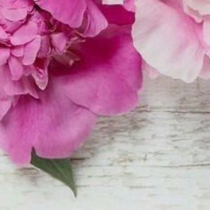 Meet your Posher, Bianca